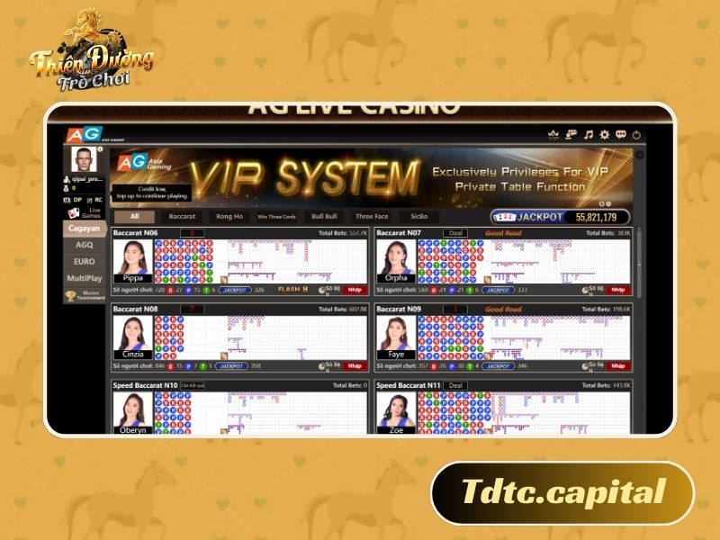 Các trò chơi Casino đa dạng thu hút mọi đối tượng