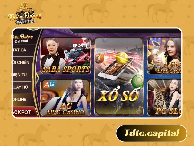 Chuyên mục Casino cung cấp nhiều nội dung hữu ích