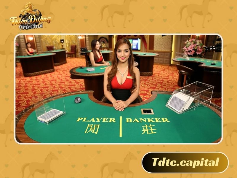 Tool Baccarat giúp cược thủ nâng cao phần thắng