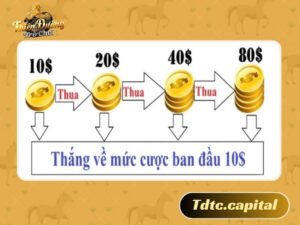 Mẹo chơi tài xỉu đỉnh nhất cho hội viên