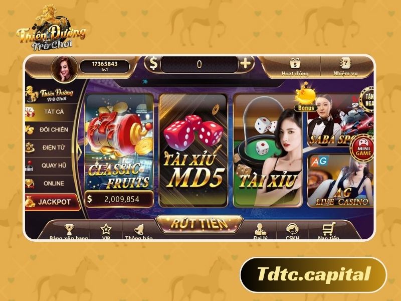 Khái quát về sảnh cược TDTC Casino